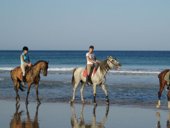 Riding horses on Andalusian beach...
