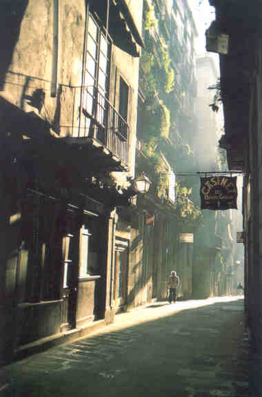 A street in Barri G�tic, Barcelona, Spain