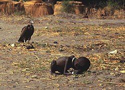 Patient vulture